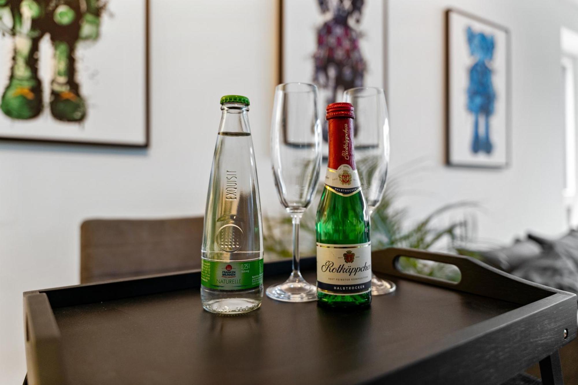 Modern Style Business Suite - Office - Kitchen - Balcony Herzogenaurach Extérieur photo